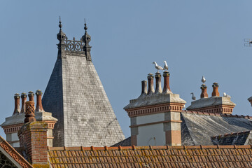 Traditional chimneys on granite house roofs with a turret covered with slate tiles in Perros Guirec, Brittany, France © hectorchristiaen