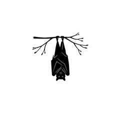Fototapeta premium Bat Vector Logo Design
