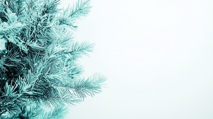 Obraz premium Frosted Evergreen Branch with Soft Blue Tones Against Light Background