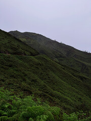 Misty volcanic landscape with towering mountains and dense jungle, covered in moody clouds on an overcast day.
