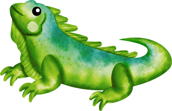 watercolor green iguana on white background clip art preview