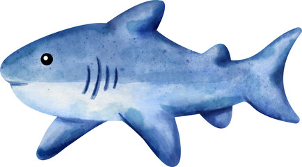watercolor shark