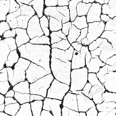 White cracked paint texture with irregular fracture patterns and erosion