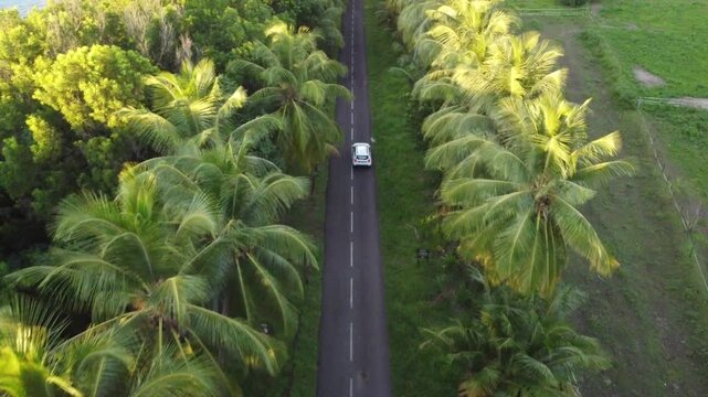 Vid&eacute;o prise au drone en Martinique bord de plage et coucher de soleil