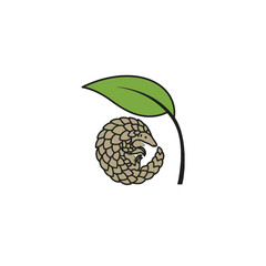Pangolin and Leaf Illustration