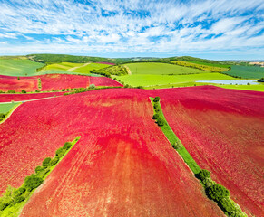 Bright colorful carpets