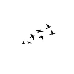 It seems the image is not attached yet. Could you please try uploading it again?