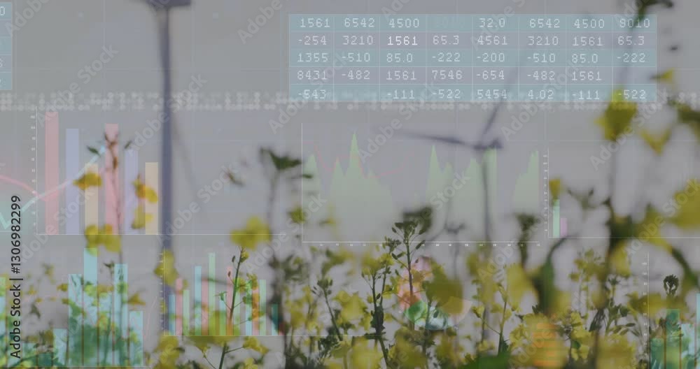 Poster financial data charts and graphs animation over field of yellow flowers