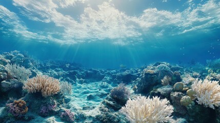 Fototapeta premium A serene underwater scene showcasing vibrant coral reefs illuminated by sunlight filtering through the clear ocean water.