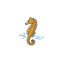 Orange Seahorse Illustration