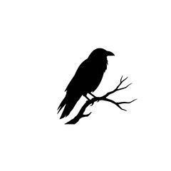 Obraz premium It seems the image has not been uploaded yet. Please try attaching it again, and I will provide you with a title as soon as I can see it.