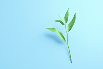 Obraz premium A single green plant stem featuring leaves on a blue background