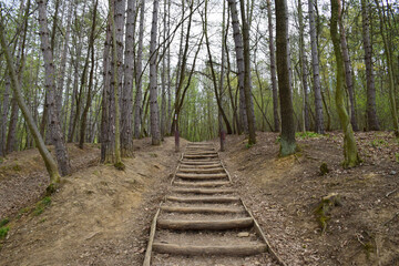 Wooden Log Pathway: A Rustic Nature Stairs Trail Through Lush Forest. Wooden stairs pathway winding...