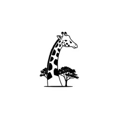 Obraz premium Giraffe and Trees