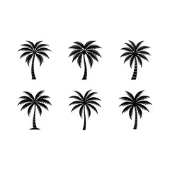 Fototapeta premium Tropical Palm Tree Icon Vector Illustration