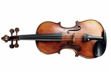 Fototapeta premium Full violin fiddle viola musical instrument.