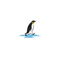 Fototapeta premium Walking Penguin on Ice