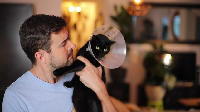 Cat wearing a protective collar after a veterinary treatment 