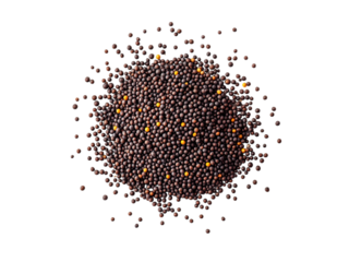 heap of organic dry mustard seed