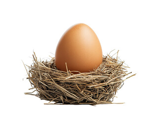 pristine egg in nest of hay