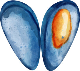 watercolor mussel