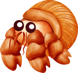 watercolor hermit crab © Je