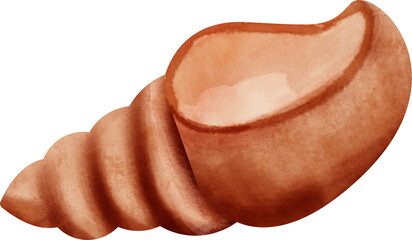 watercolor seashell