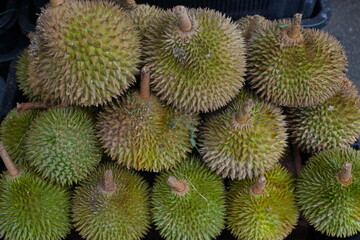 Spiky durian fruit at a market in Singapore