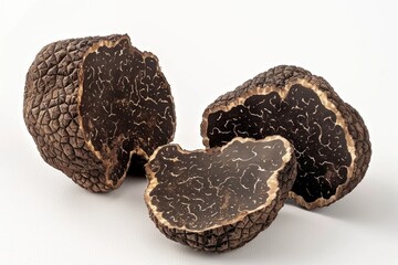 Vegetable mushroom reptile produce.