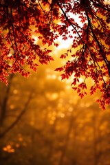 Autumn leaves in the forest with blurred background.