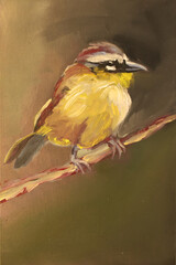 PINTURA A ÓLEO - PARDAL