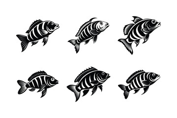 Goldenstripe Wrasse silhouette vector illustration