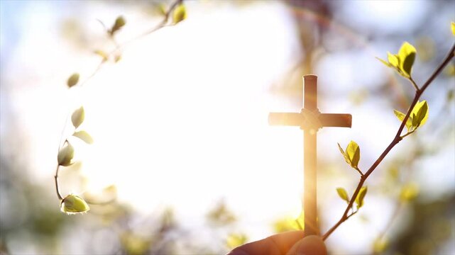 Bright spring background with warm sunshine and new life sprouting, holy cross of Jesus Christ and green buds
