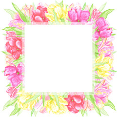 Hand drawn watercolor colorful tulips with green leaves frame border. Illustration of flowers isolated on white background. Can be used for postcard, invitation, scrapbook and other printed products.