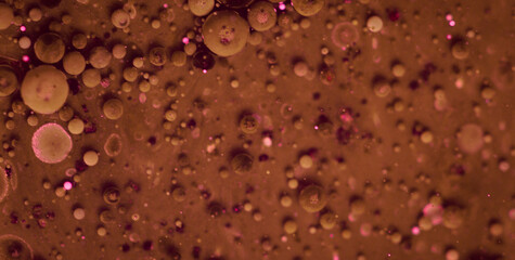 Blank Parchment with a Vintage Texture and Grunge Pattern