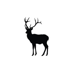 Fototapeta premium forest deer vector silhouette