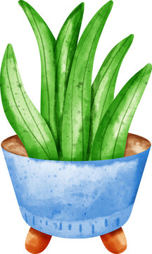 green plant blue pot watercolor clip art preview