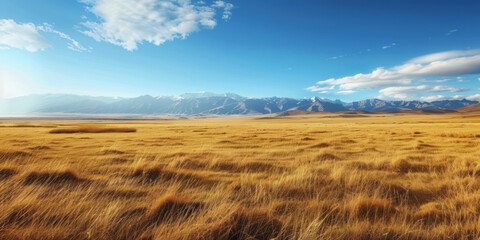 A vast expanse of grassland under the blue sky, with distant mountains in the background, is bathed in sunlight, creating a peaceful and serene scene.