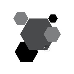black and white hexagon geometric pattern badge vector