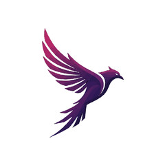 Fototapeta premium Majestic Soaring Bird