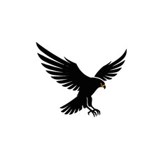 Fototapeta premium Black Hawk Logo