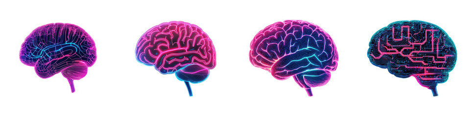 Fototapeta premium Vibrant and detailed cross section images of the human brain showcasing the complex neural networks cognitive functions and intricate structures that make up this remarkable organ