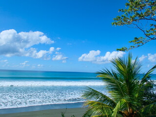 Obraz premium Lonely Beach in Costa Rica with Palm Trees, Blue Sky, and White Sea Foam
