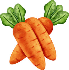 watercolor carrot