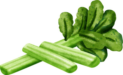 watercolor celery