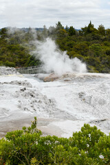 View at Geothermal Valley Te Puia on Rotorua, New Zealand