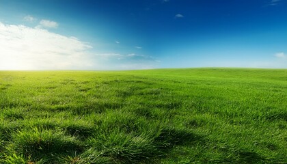 【背景素材】美しい緑の草原と青空の風景