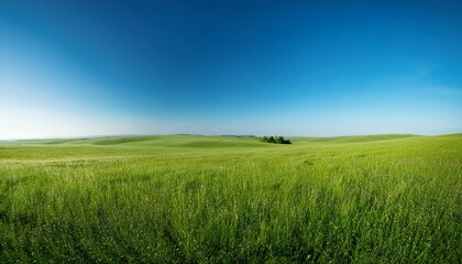 Obraz premium 【背景素材】美しい緑の草原と青空の風景