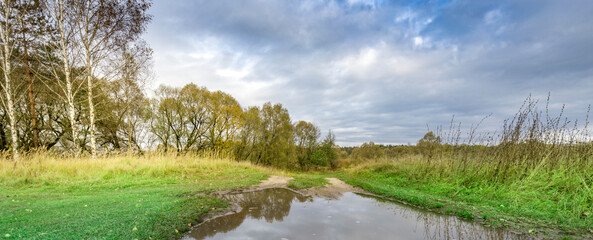Wet road with a reflection of trees in the water