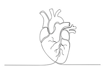 Continuous One Line Human Heart | Minimalist Anatomy Vector Illustration